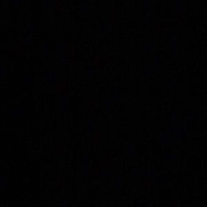 Meet your Posher, Ella